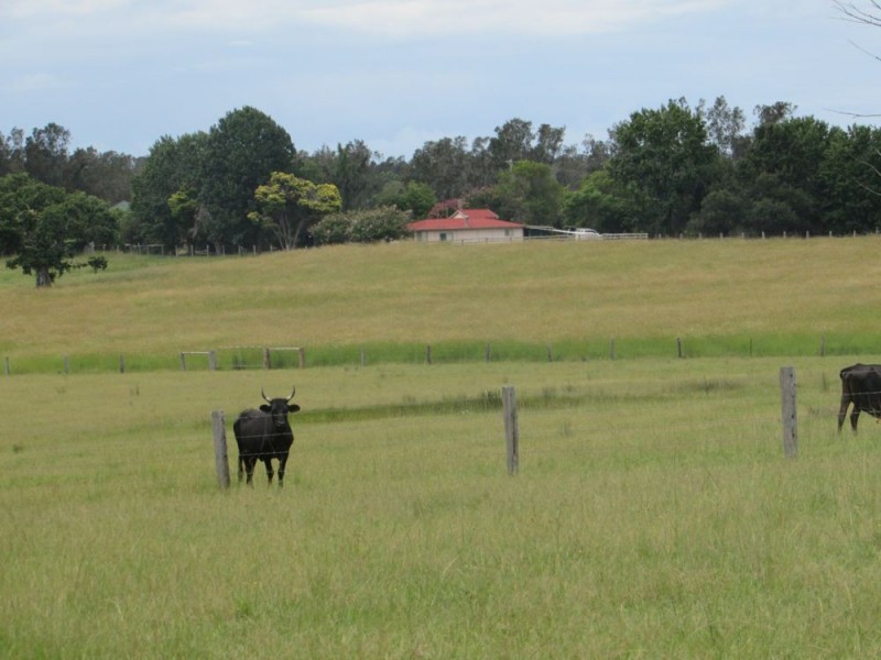Telegraph Point NSW 2441