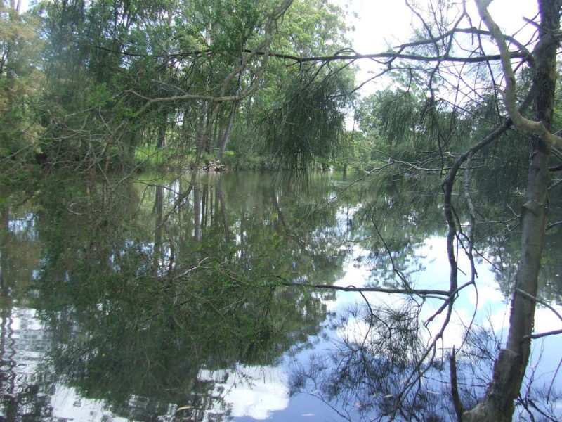 Herons Creek NSW 2443