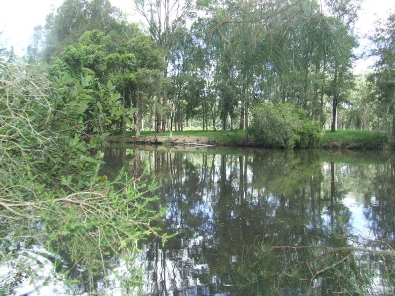 Herons Creek NSW 2443