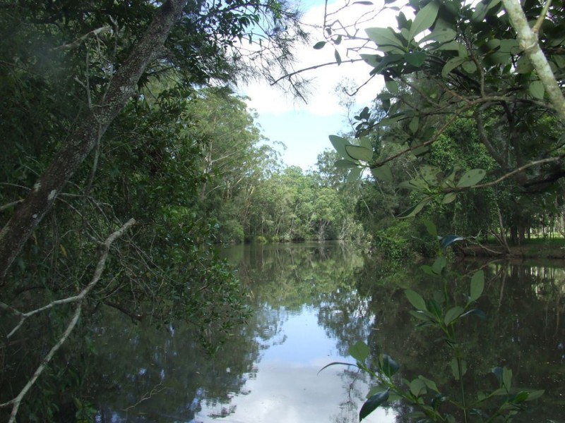 Herons Creek NSW 2443