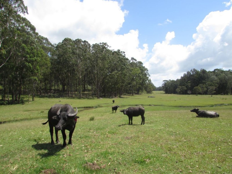 Telegraph Point NSW 2441