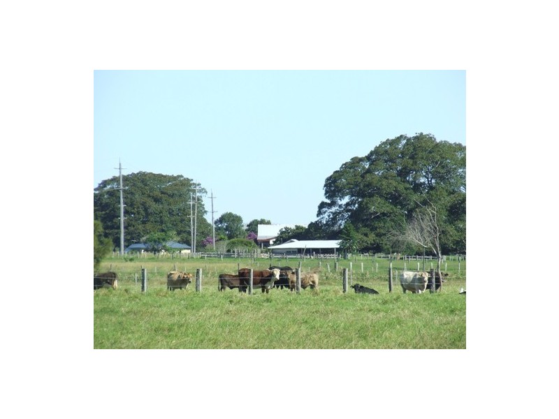 Summer Island NSW 2440