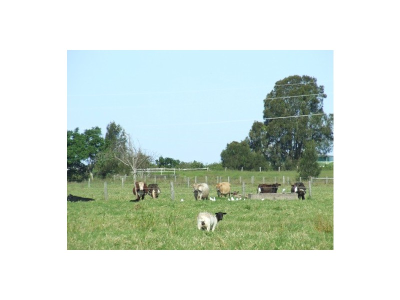 Summer Island NSW 2440