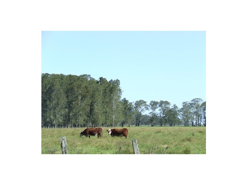 Summer Island NSW 2440