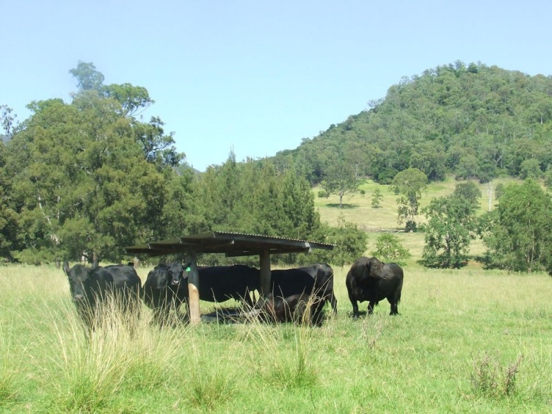 Willi Willi NSW 2440