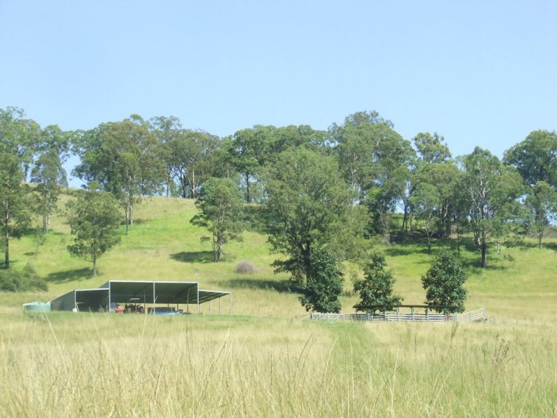 Willi Willi NSW 2440