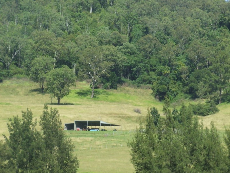 Willi Willi NSW 2440