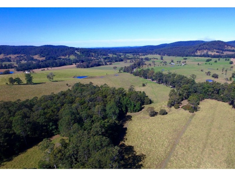 Gum Scrub NSW 2441