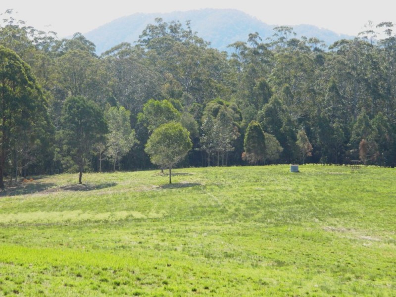 Rollands Plains NSW 2441