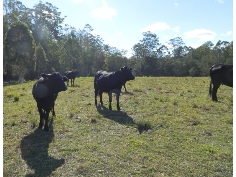 Rollands Plains NSW 2441