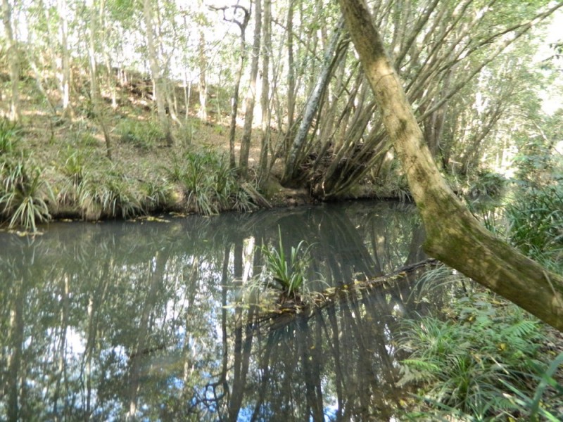 Rollands Plains NSW 2441