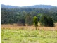 Rollands Plains NSW 2441