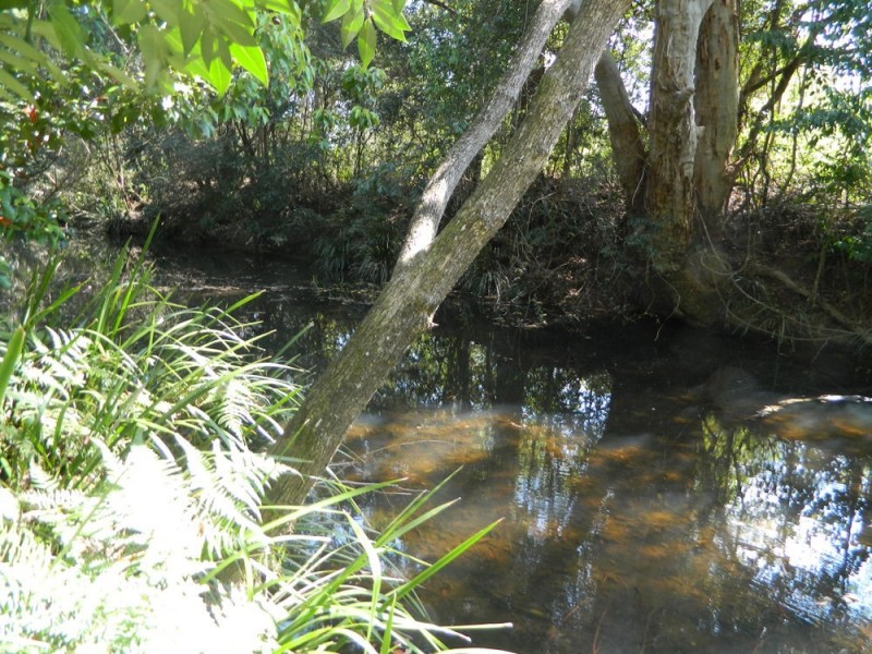 Rollands Plains NSW 2441