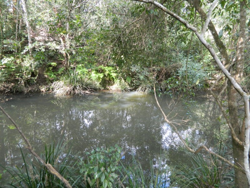 Rollands Plains NSW 2441