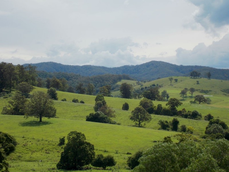 Upper Rollands Plains NSW 2441