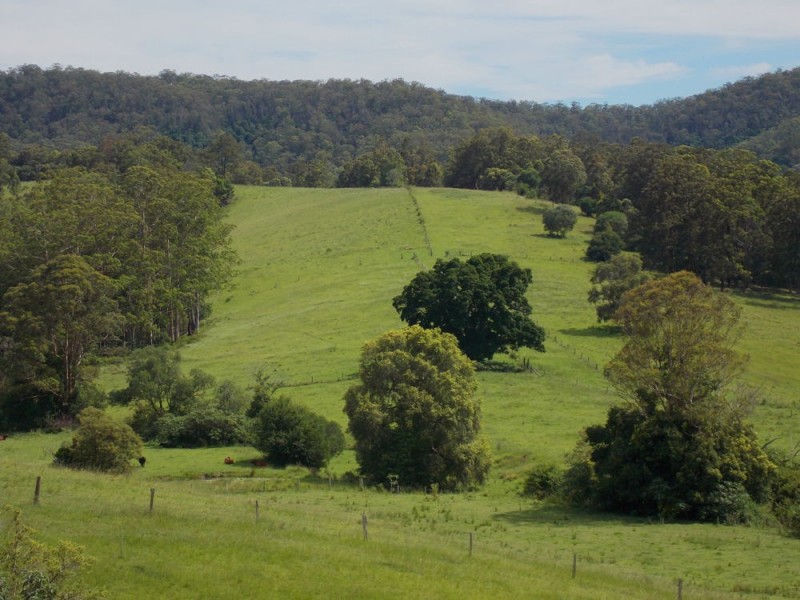 Upper Rollands Plains NSW 2441