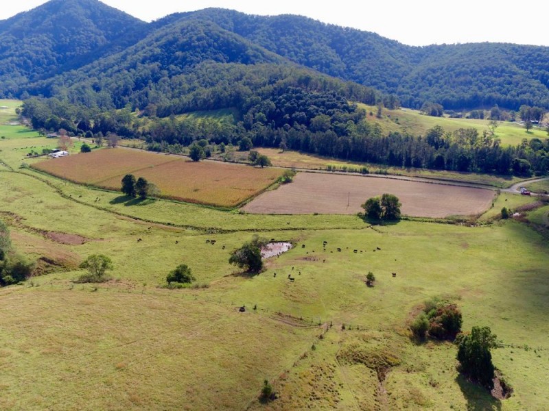 Upper Rollands Plains NSW 2441