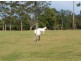 Telegraph Point NSW 2441