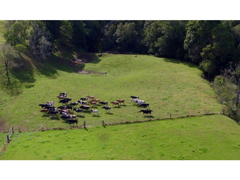 845 Lorne Road, Lorne NSW 2439