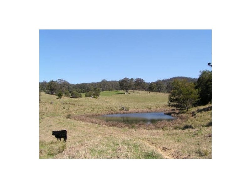Elands NSW 2429