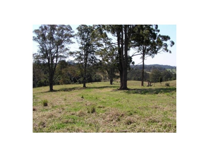 Elands NSW 2429