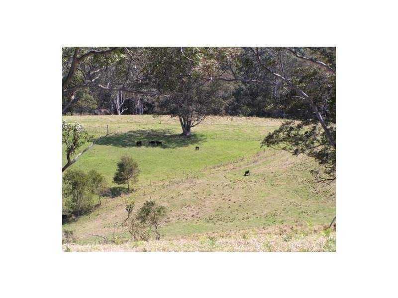 Elands NSW 2429