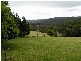 Elands NSW 2429
