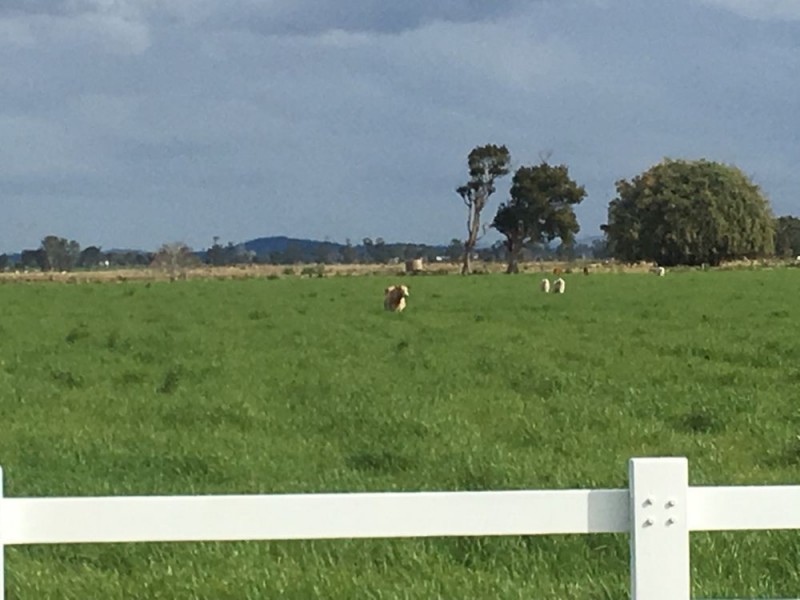 872 Kinchela Creek Road, Kinchela NSW 2440