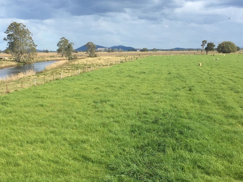 872 Kinchela Creek Road, Kinchela NSW 2440