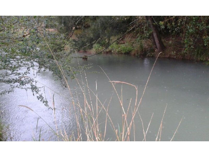 Lot 1 Pine Scrub Creek Road, Kindee NSW 2446