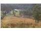 Lot 1 Pine Scrub Creek Road, Kindee NSW 2446