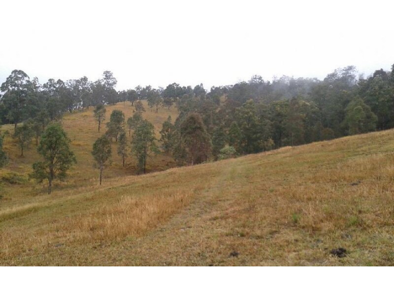 Lot 1 Pine Scrub Creek Road, Kindee NSW 2446