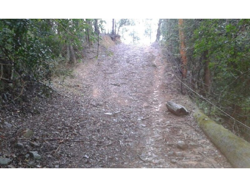 Lot 1 Pine Scrub Creek Road, Kindee NSW 2446