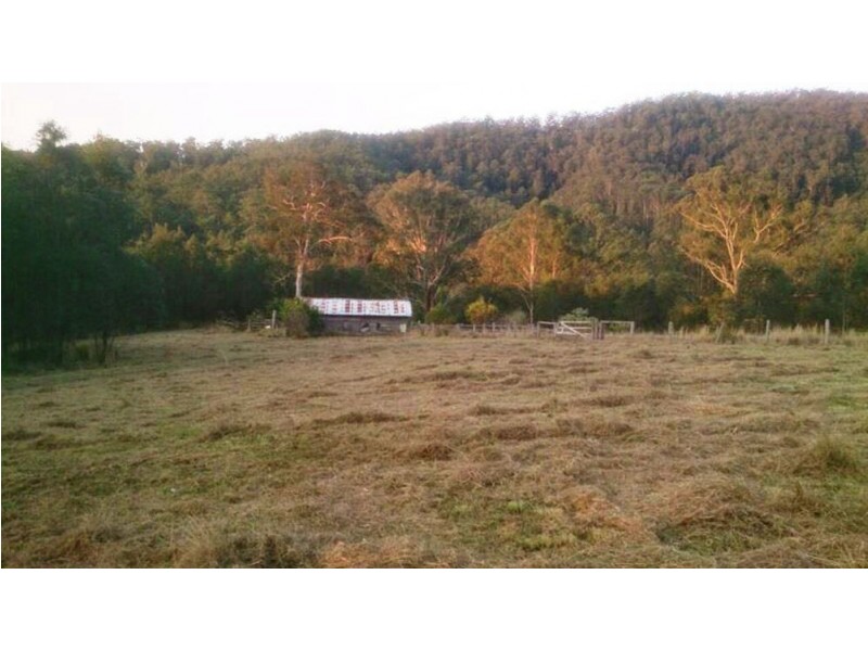 AAA Blue Gum Road, Ellenborough NSW 2446