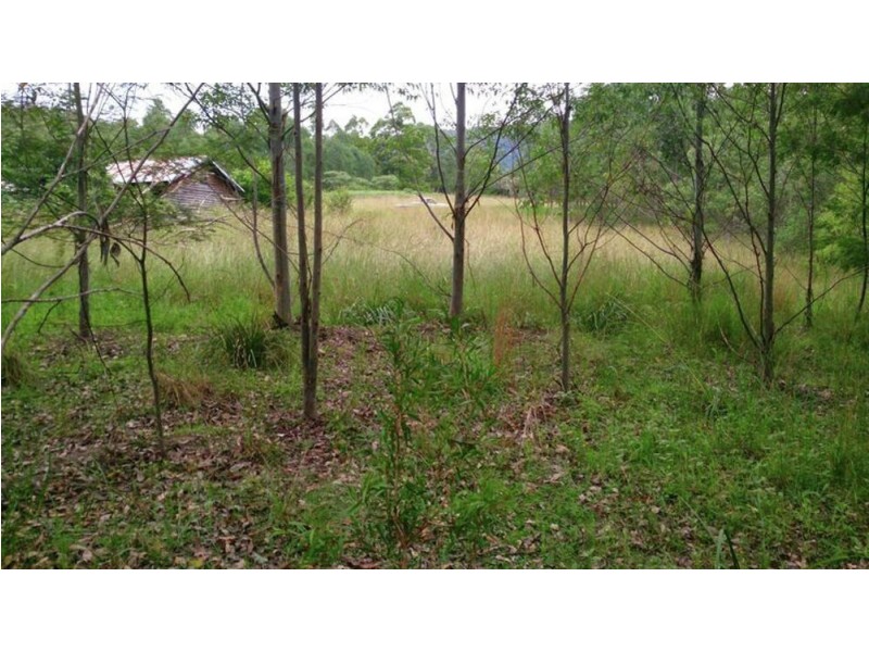 AAA Blue Gum Road, Ellenborough NSW 2446