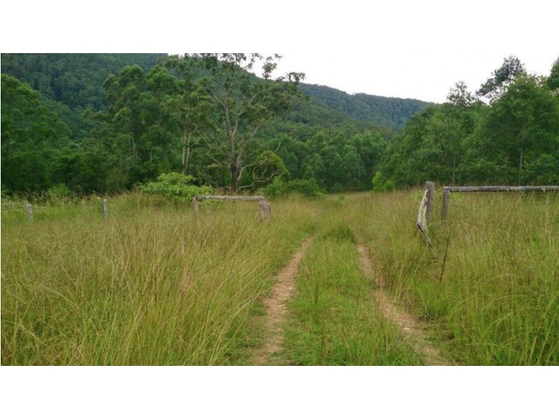 AAA Blue Gum Road, Ellenborough NSW 2446