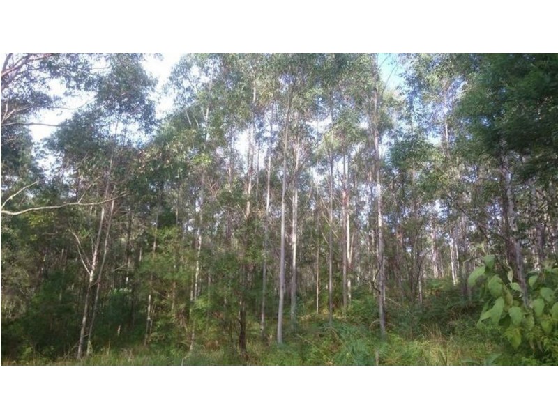 AAA Blue Gum Road, Ellenborough NSW 2446