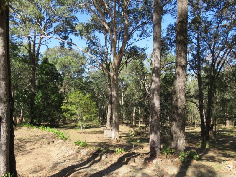 176 Mungay Creek Road, Willawarrin NSW 2440