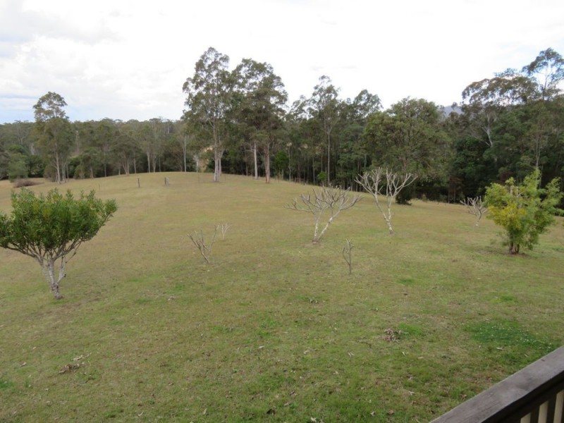 1517 Willi Willi Road, Temagog NSW 2440