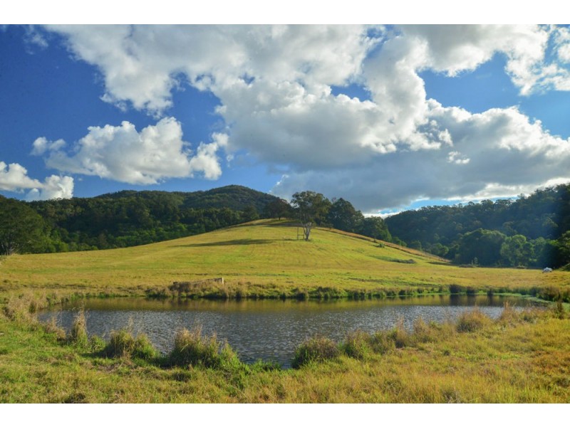 953 Rollands Plains Road, Rollands Plains NSW 2441