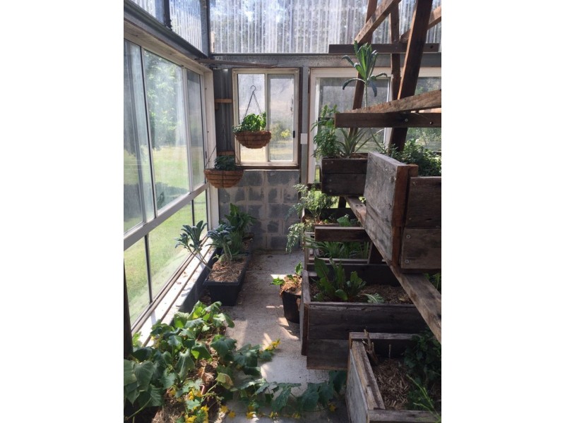 953 Rollands Plains Road, Rollands Plains NSW 2441