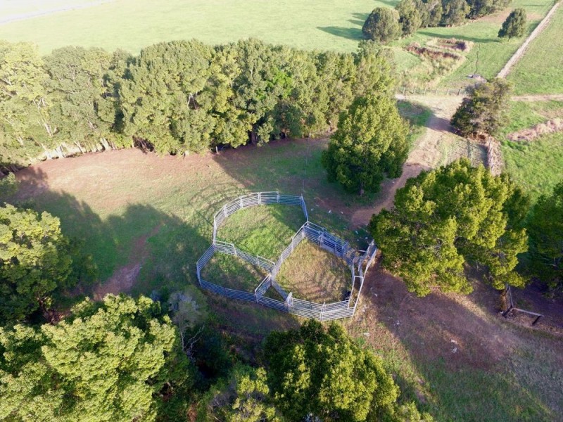 1368 Rollands Plains Road, Rollands Plains NSW 2441