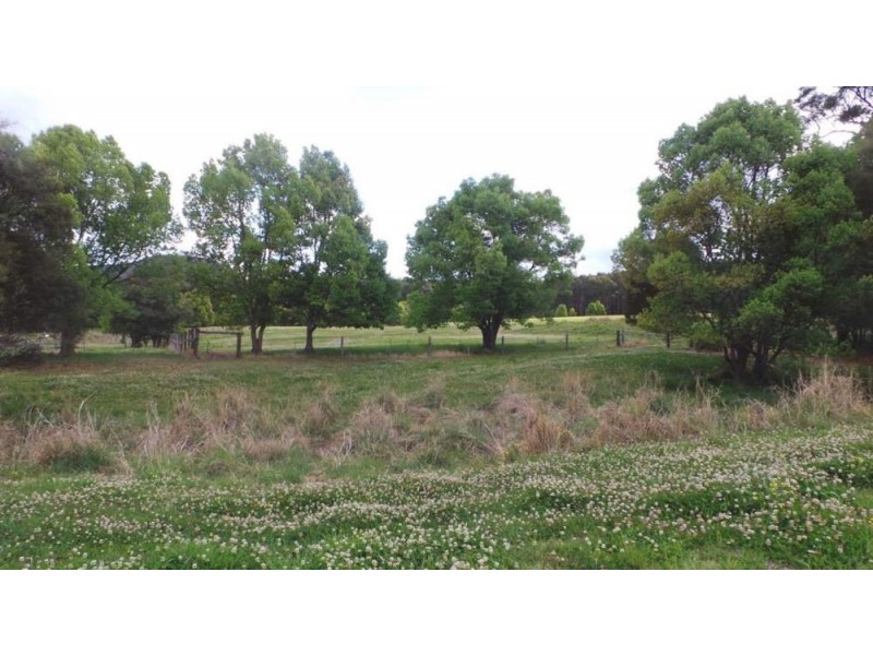 1368 Rollands Plains Road, Rollands Plains NSW 2441