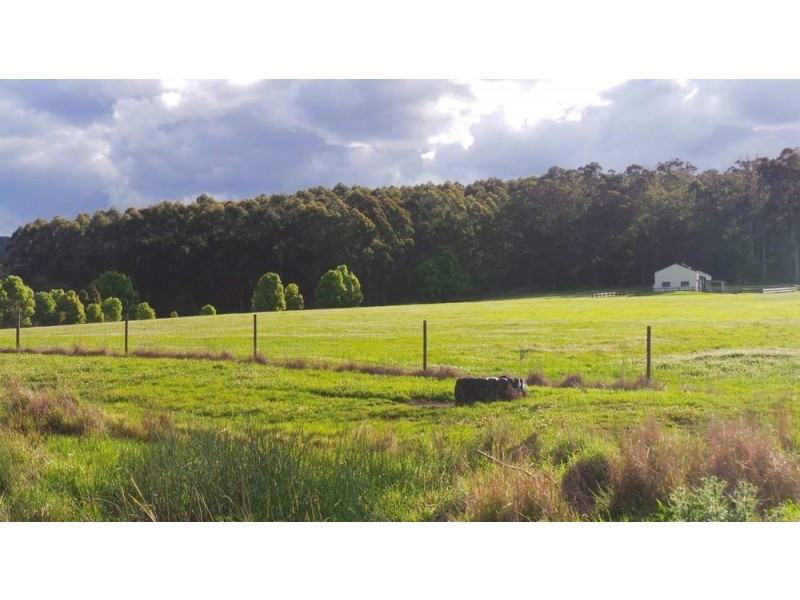 1368 Rollands Plains Road, Rollands Plains NSW 2441