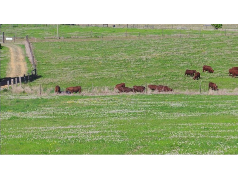 1368 Rollands Plains Road, Rollands Plains NSW 2441