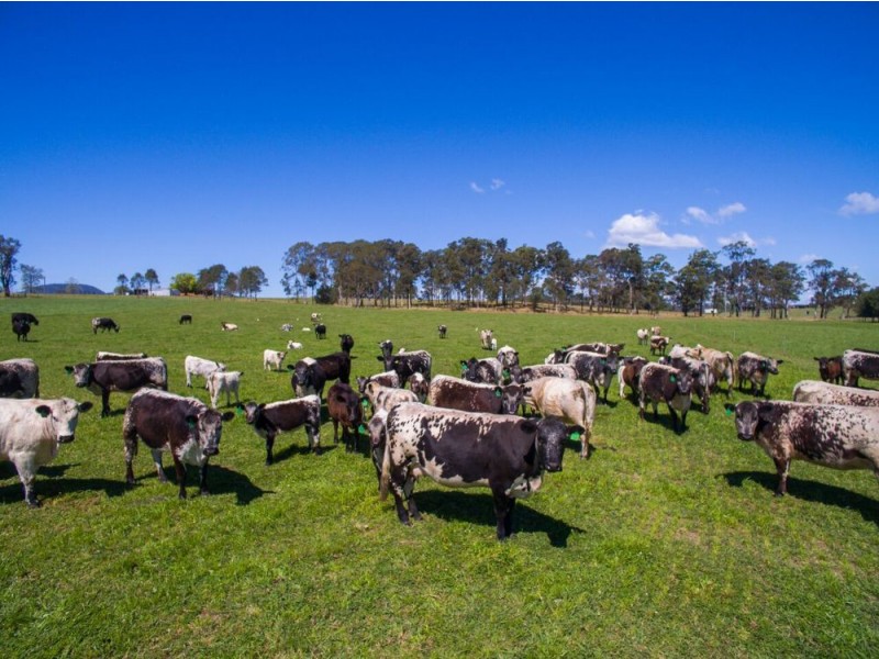 190 Bril Bril  Road, Rollands Plains NSW 2441