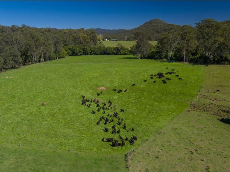 190 Bril Bril  Road, Rollands Plains NSW 2441