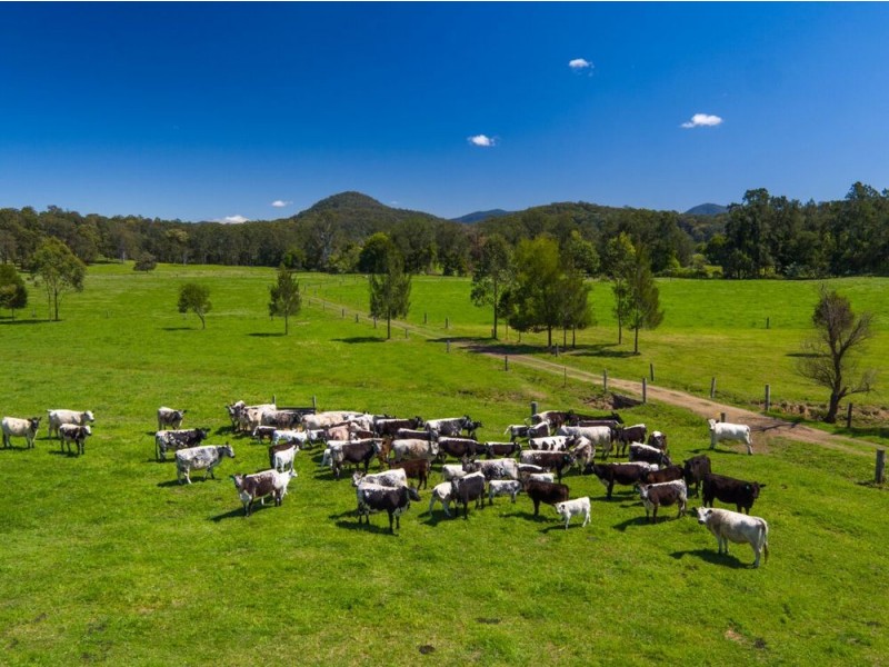 190 Bril Bril  Road, Rollands Plains NSW 2441