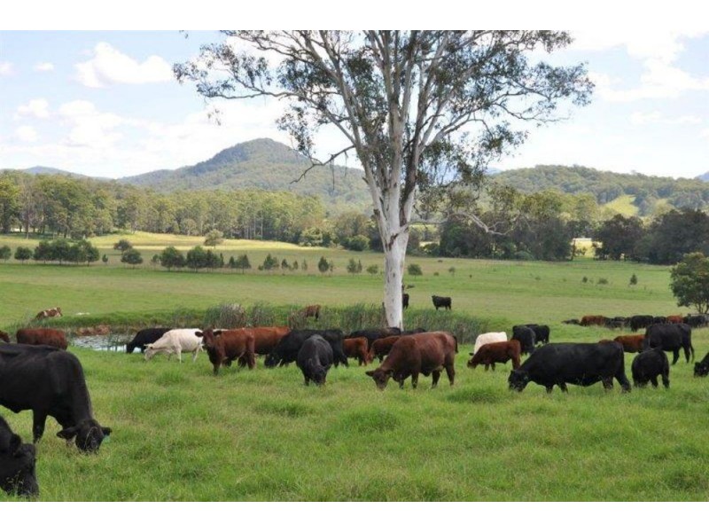 190 Bril Bril  Road, Rollands Plains NSW 2441