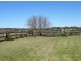 Pola Creek NSW 2440